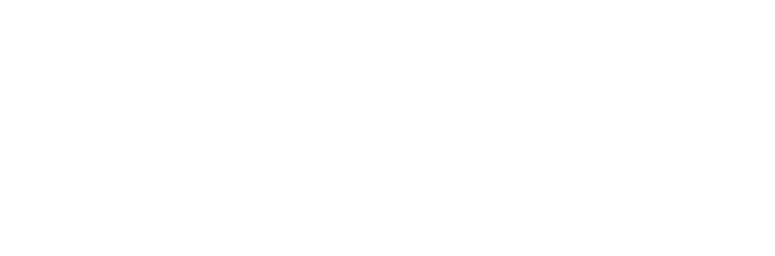 Heavybrains